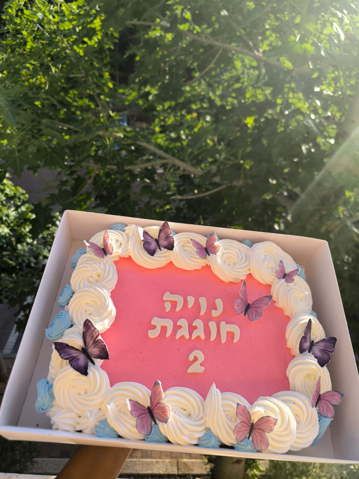 עוגת פרפרים